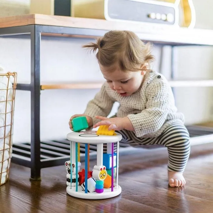 Baby Einstein Zen & Cal’s Playground Sensory Shape Sorter