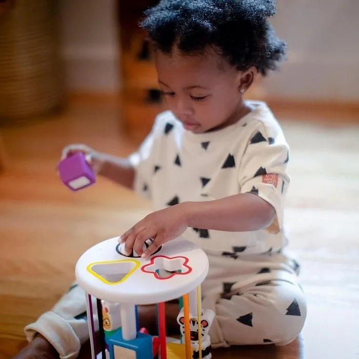 Baby Einstein Zen & Cal’s Playground Sensory Shape Sorter