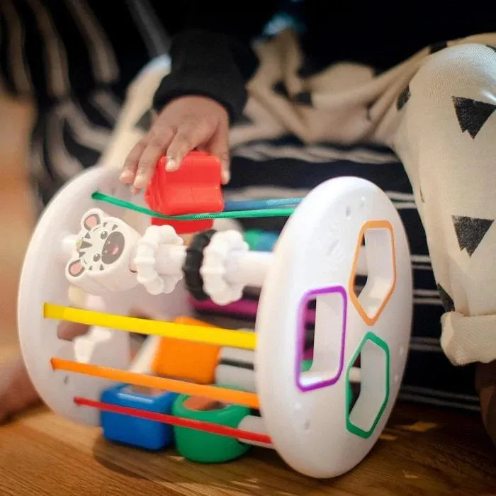 Baby Einstein Zen & Cal’s Playground Sensory Shape Sorter