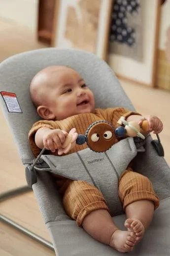 BabyBjorn Bouncer Toy