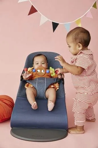 BabyBjorn Bouncer Toy