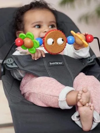 BabyBjorn Bouncer Toy