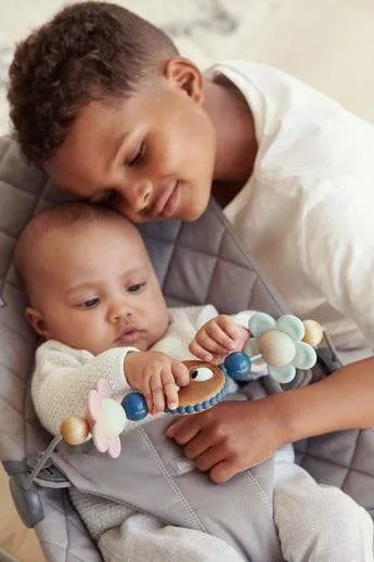 BabyBjorn Bouncer Toy