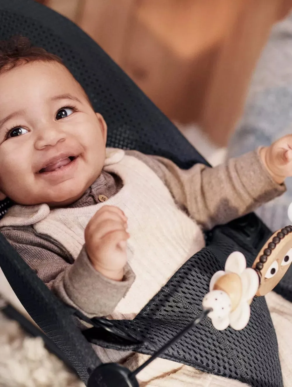 BabyBjorn Bouncer Toy
