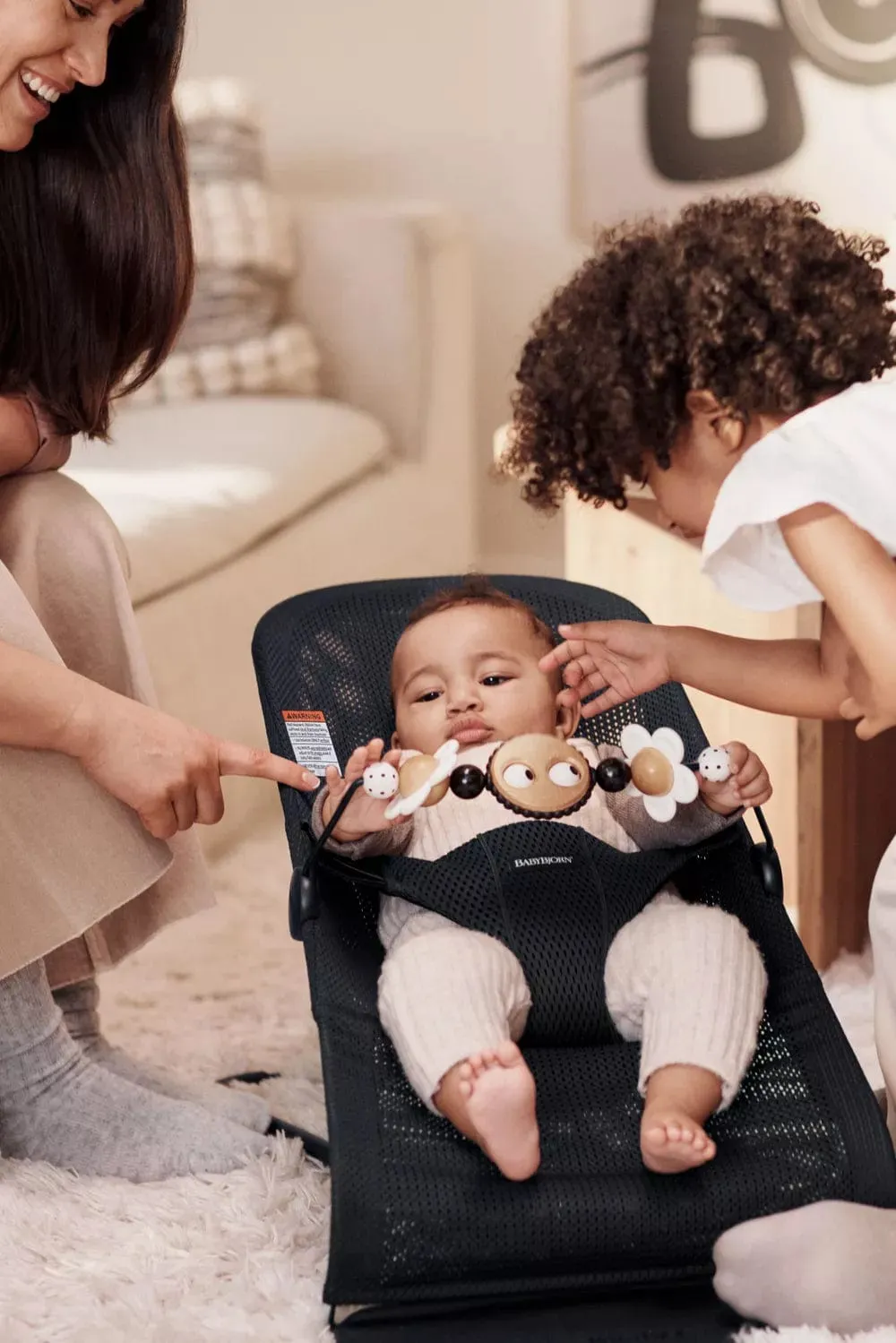BabyBjorn Bouncer Toy