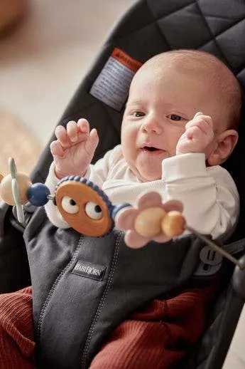 BabyBjorn Bouncer Toy