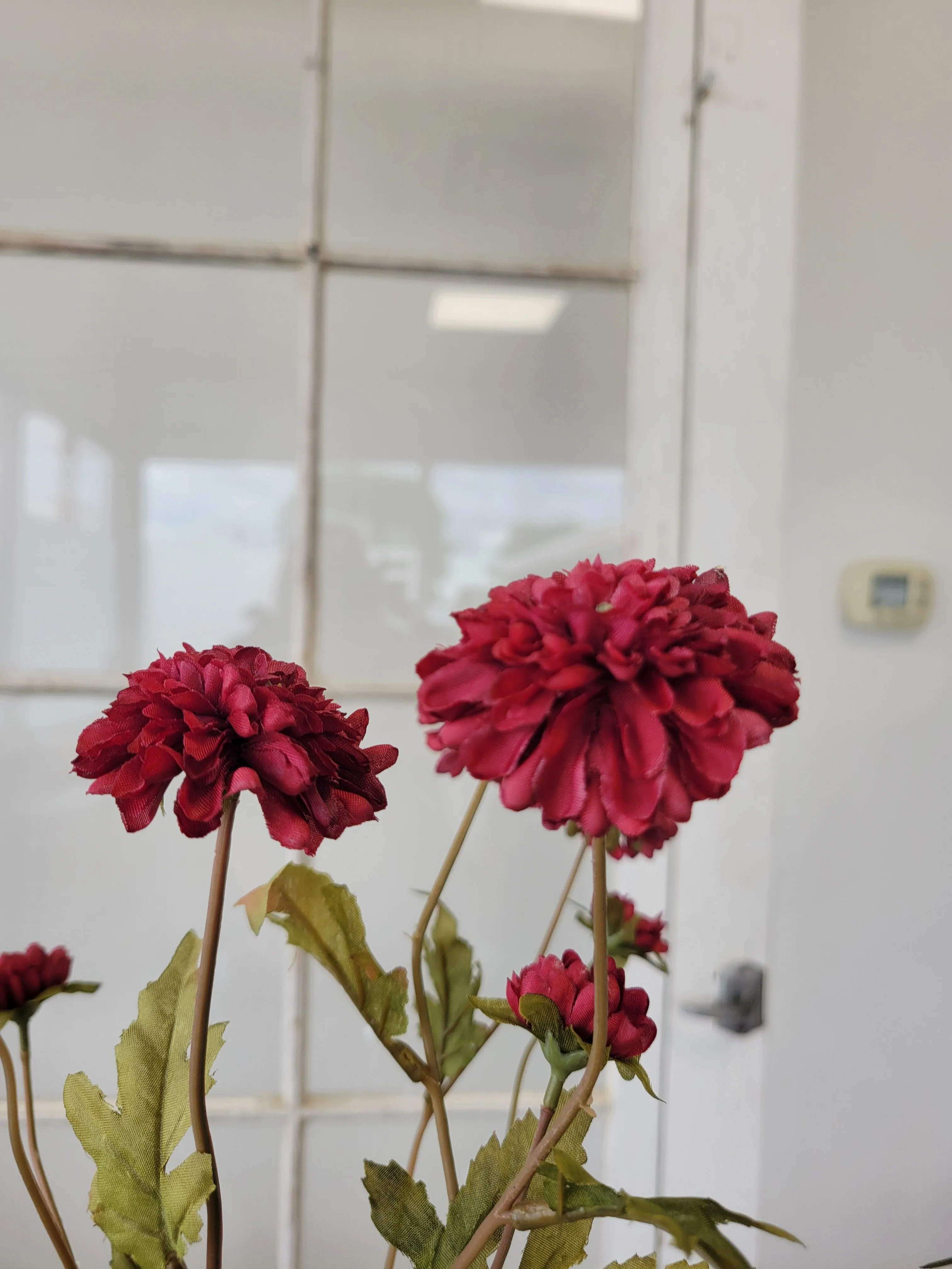 Burgundy Pom-Pon Mum Spray