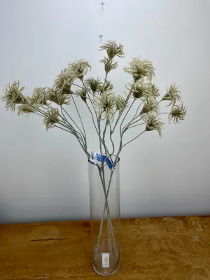 Clematis Bud Spray