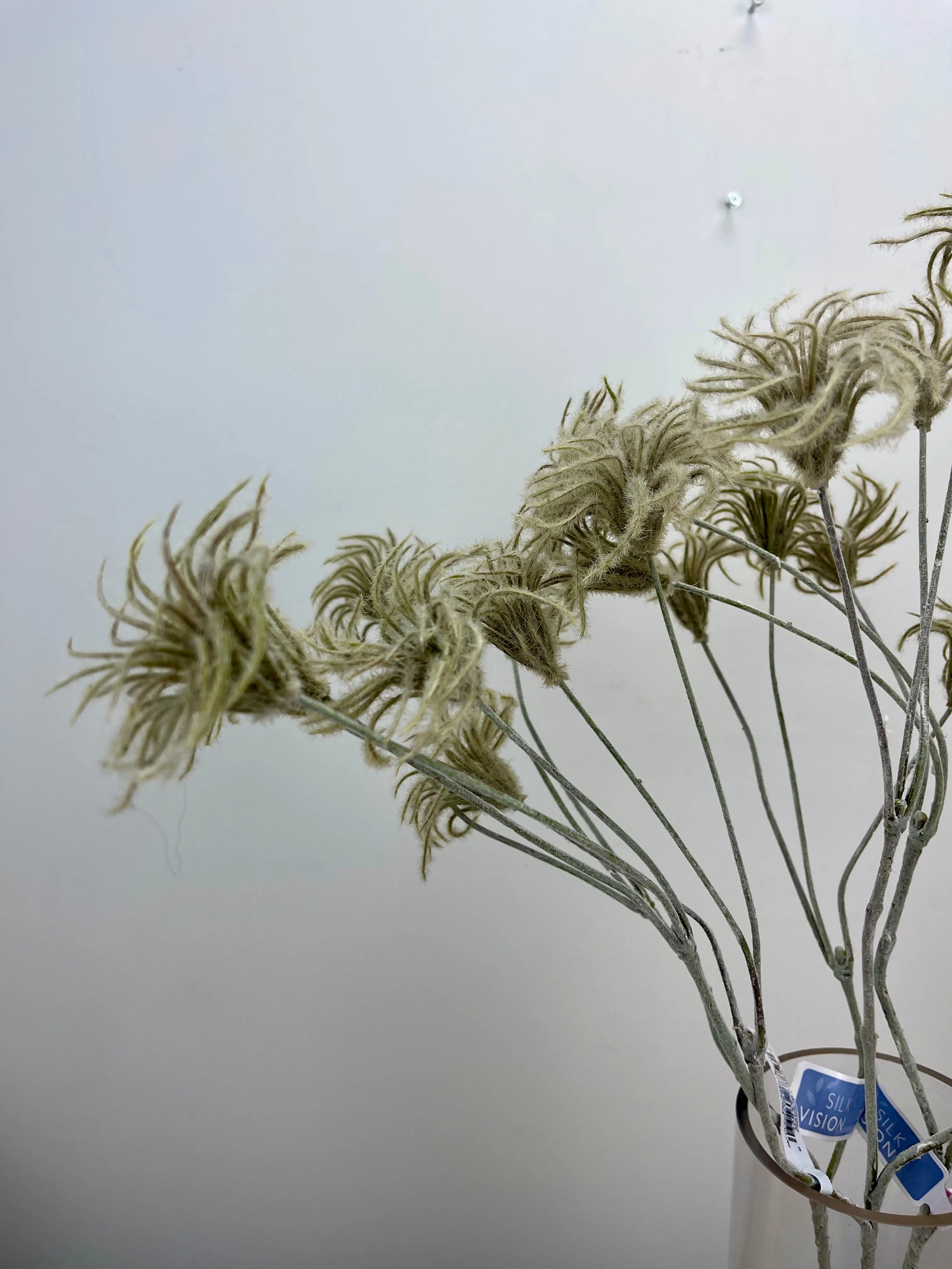 Clematis Bud Spray