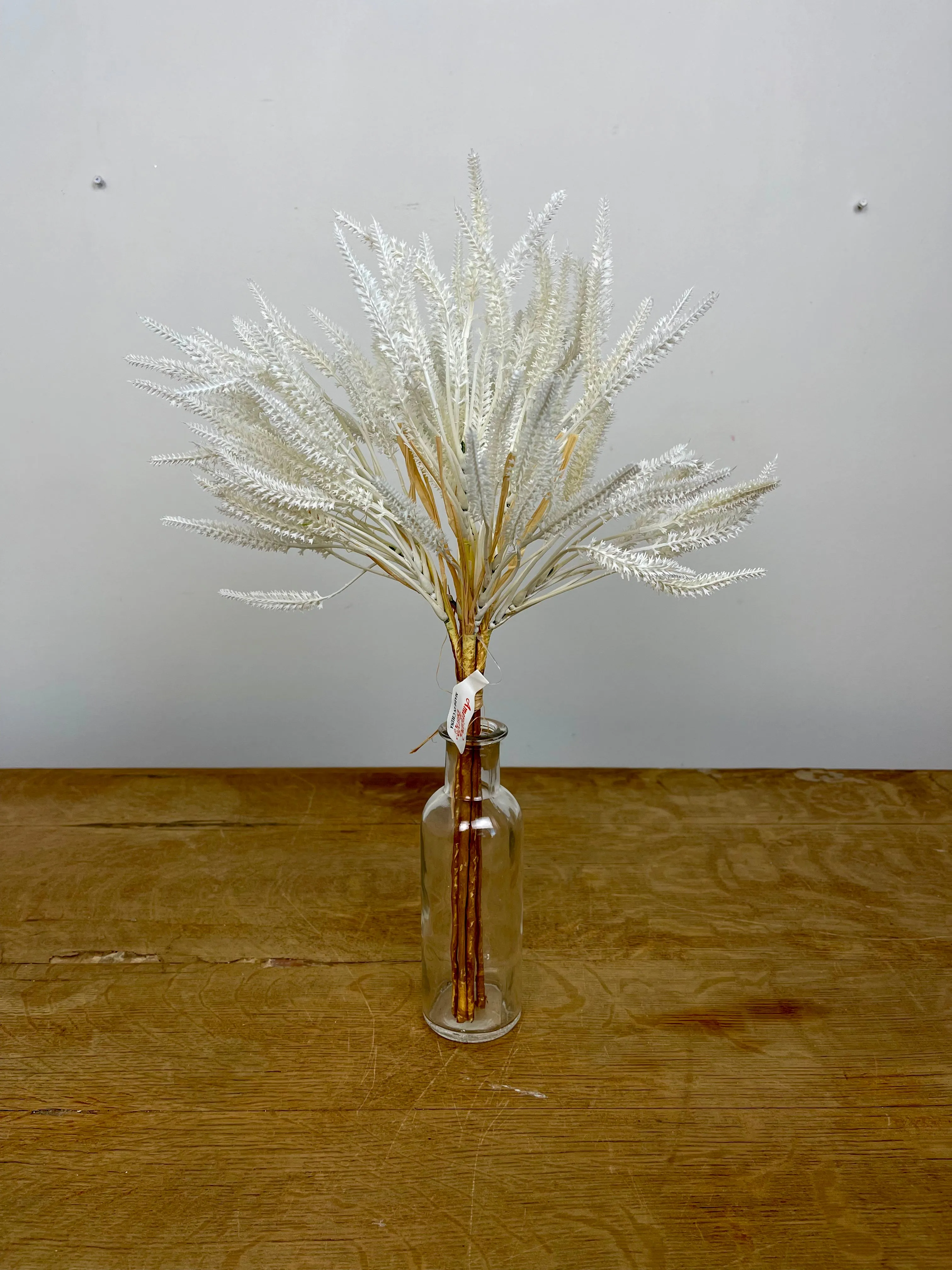 Cream Weedy Wheat Bundle