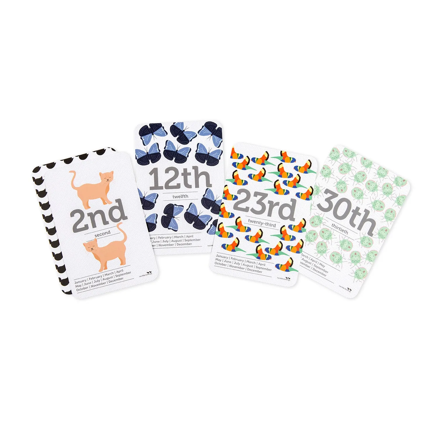 Dates of the Month | Flash Cards