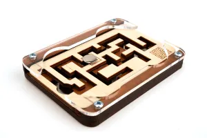 Double Maze - IQ Toy