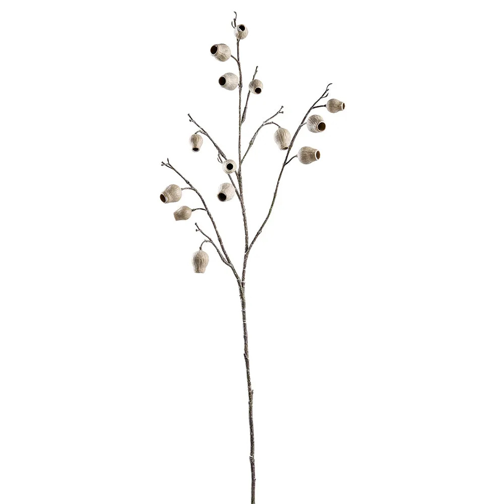 Eucalyptus Beige Pod Spray