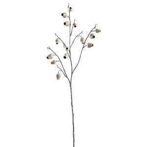 Eucalyptus Beige Pod Spray