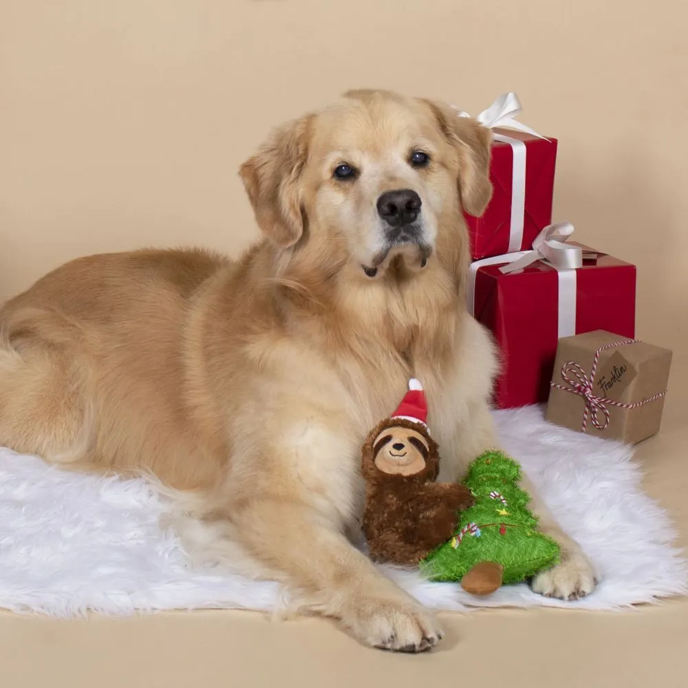 Fringe Dog Toy Holiday Merry Slothmas
