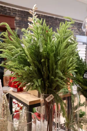Green Fir Norfolk Pine Spray