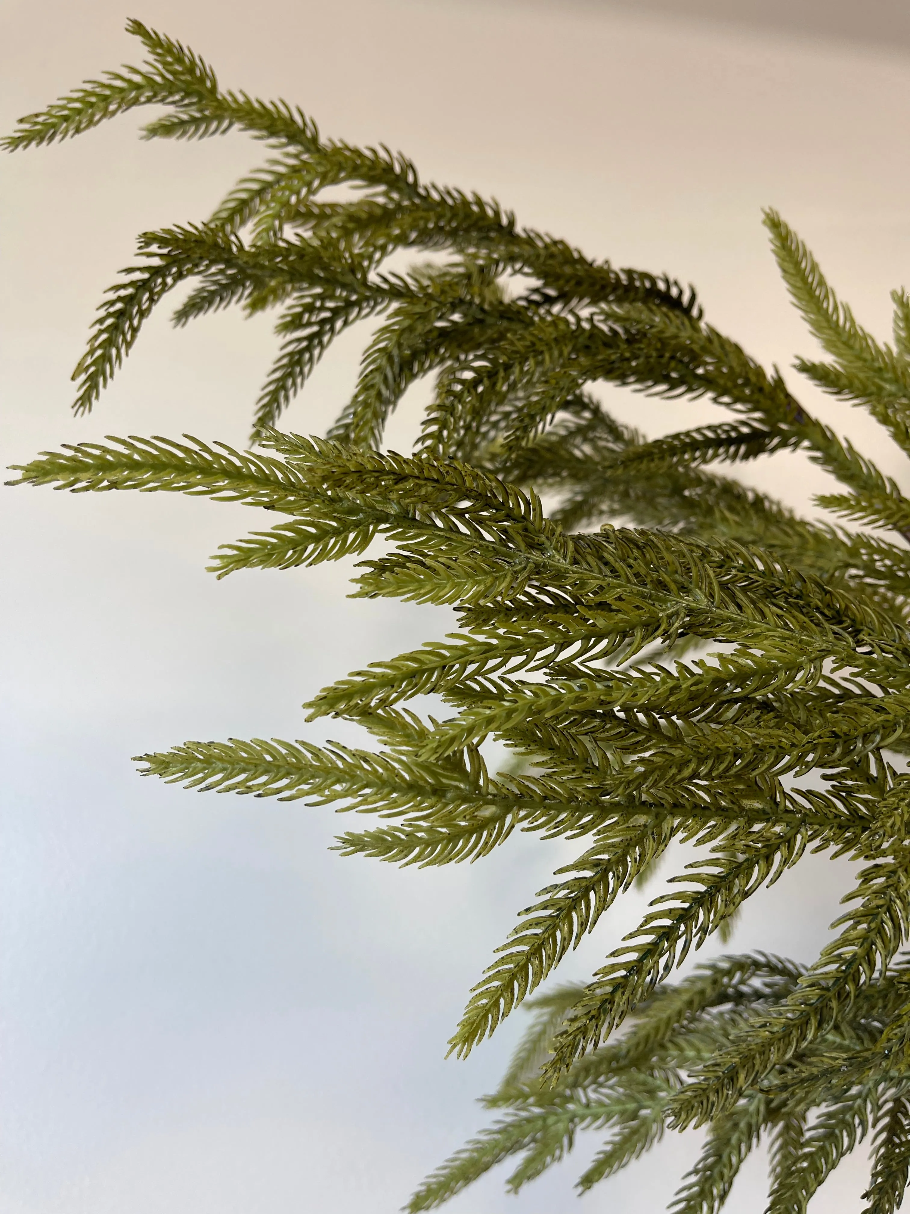 Green Fir Norfolk Pine Spray