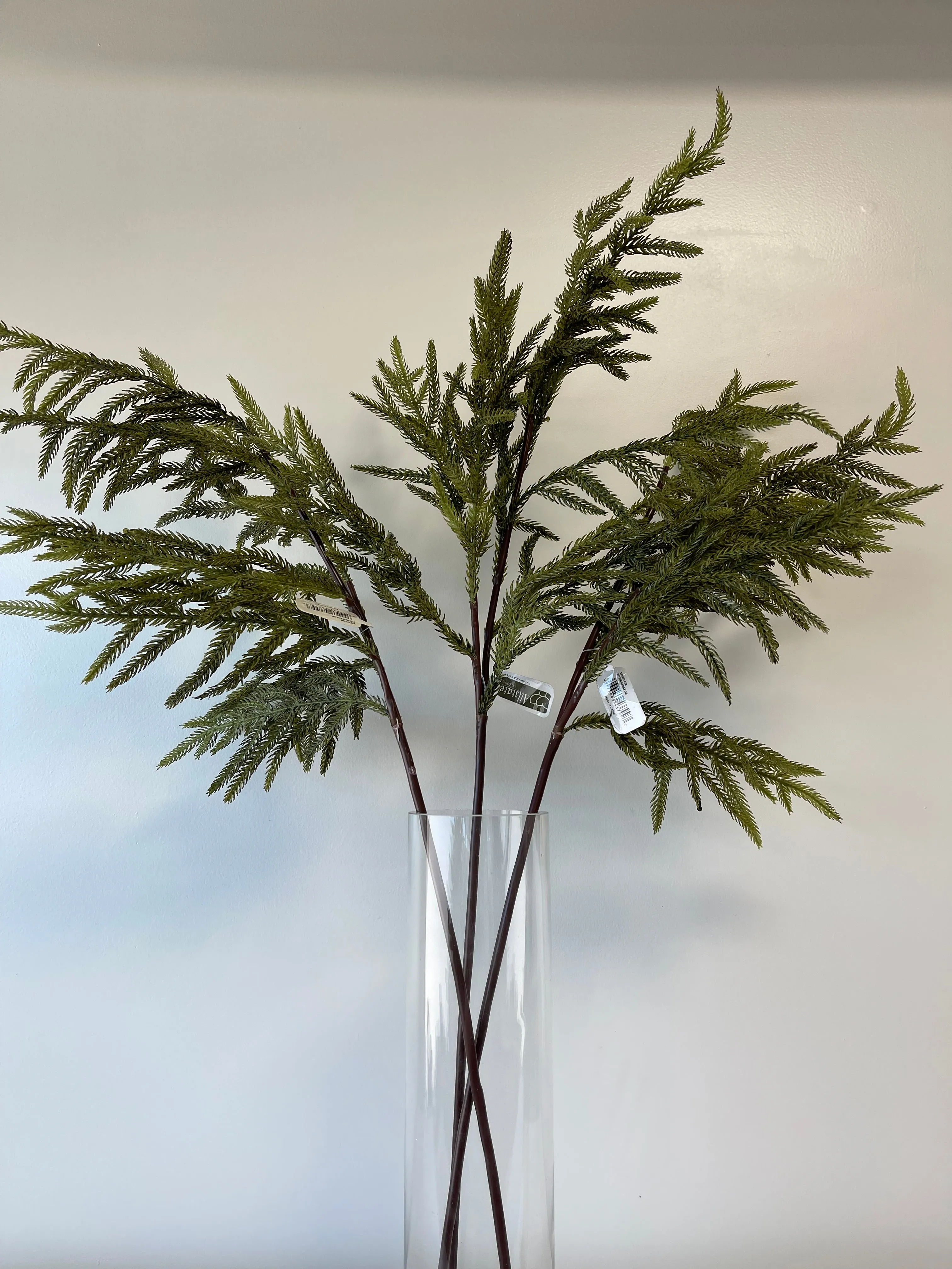Green Fir Norfolk Pine Spray