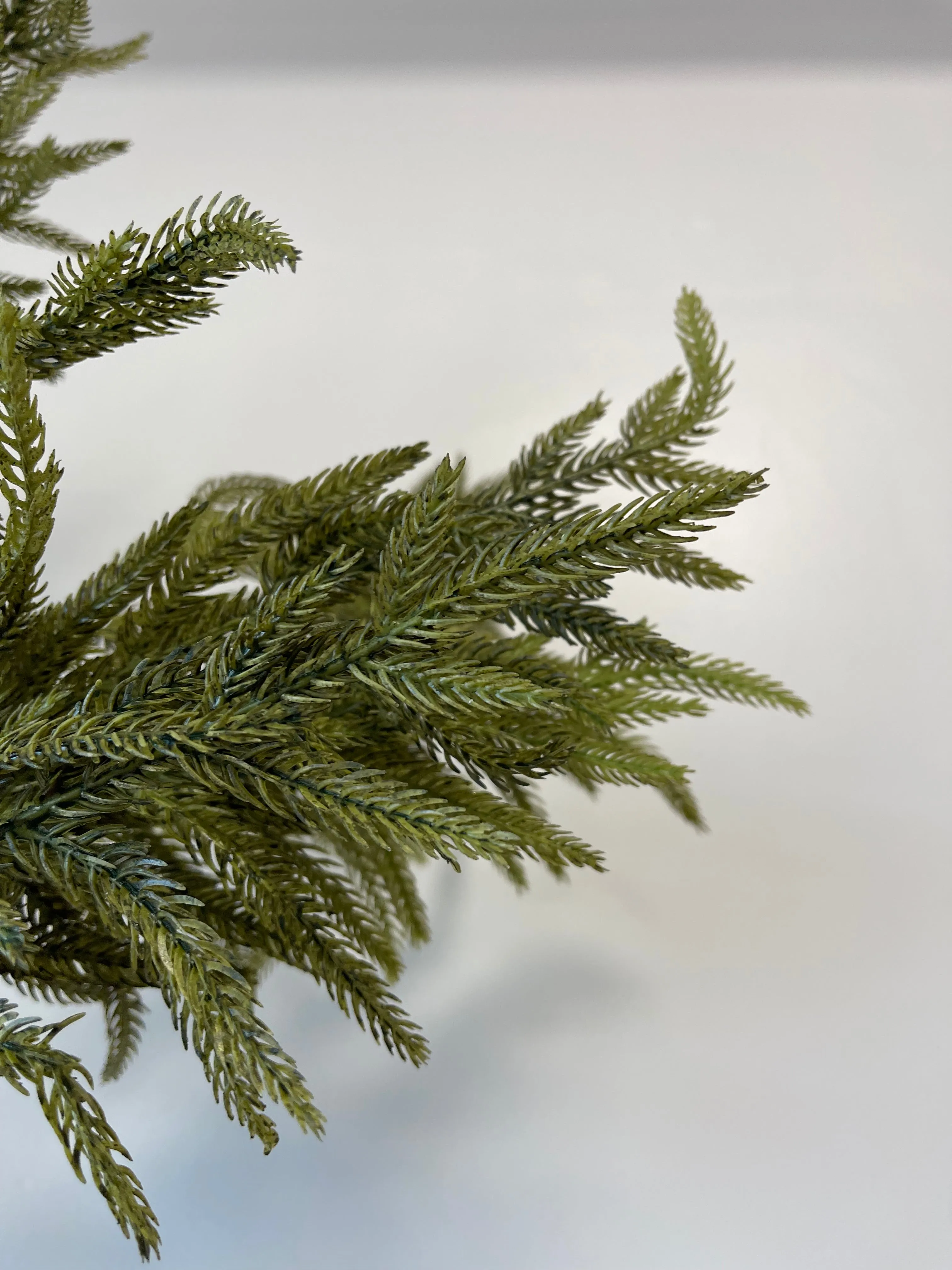 Green Fir Norfolk Pine Spray