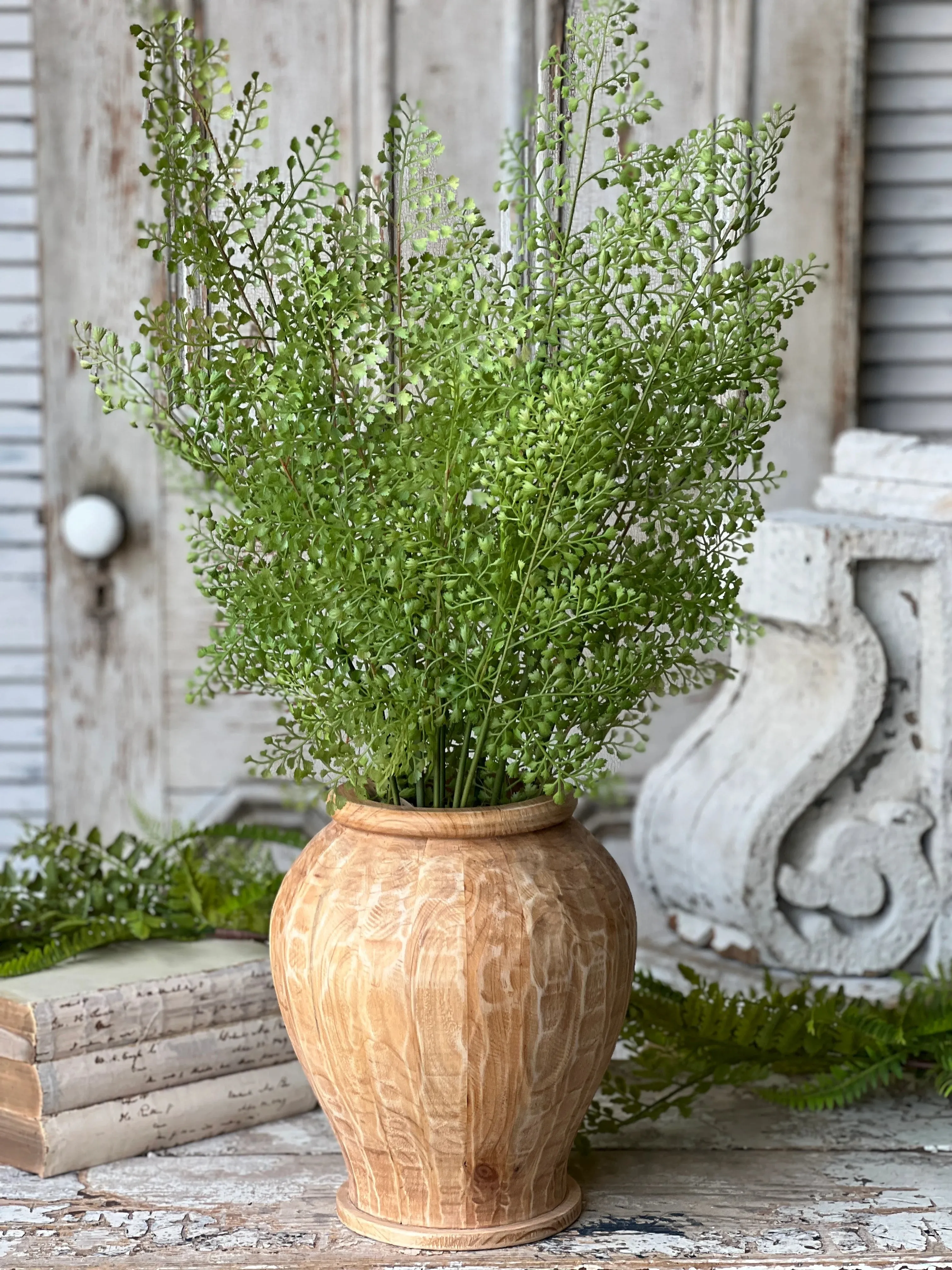 Maidenhair Fern Plant