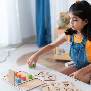 Montessori Number Literacy Educational Game