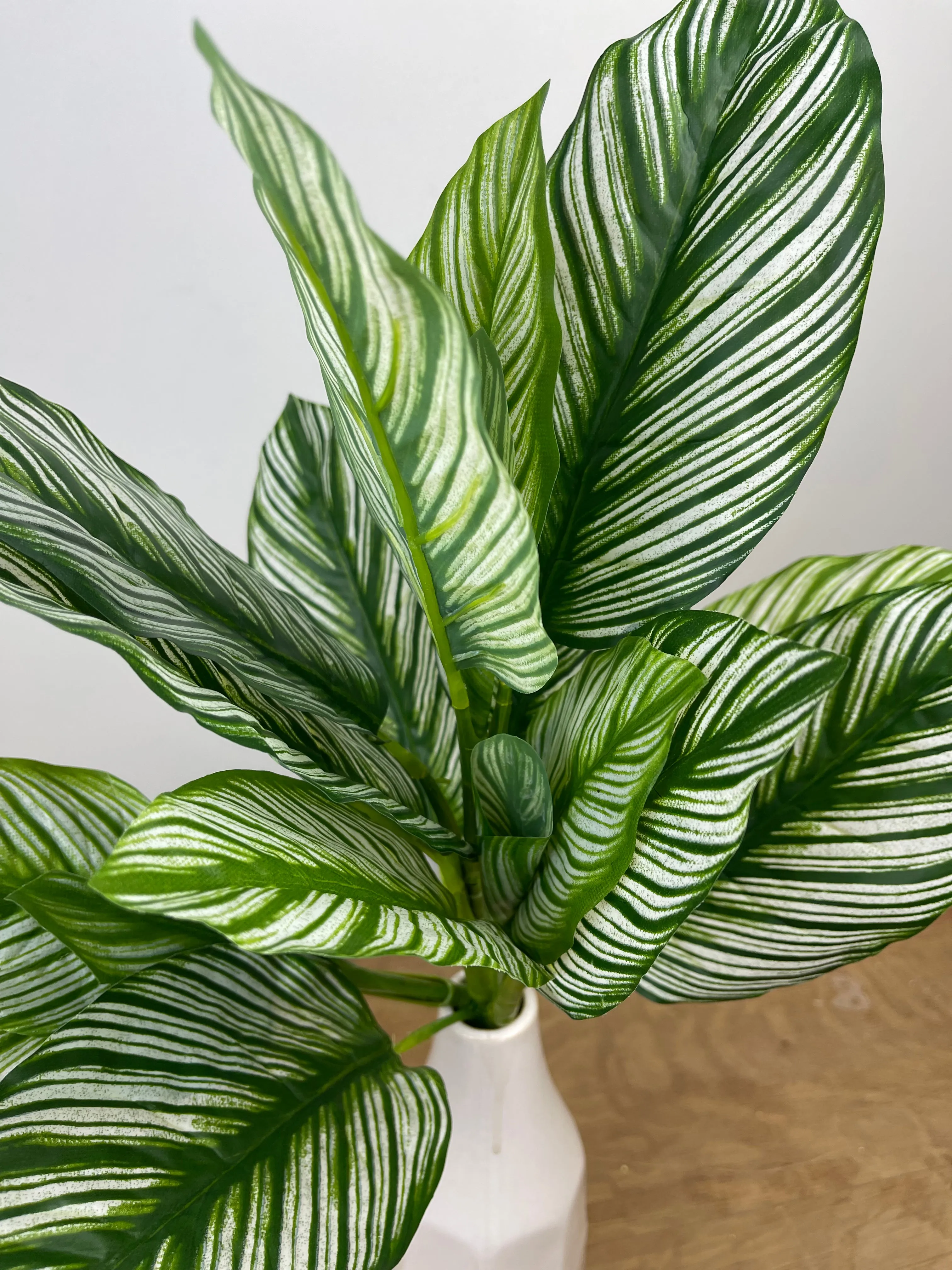 Real Touch Calathea Zebra Plant