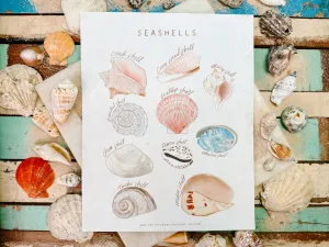 Shell Poster