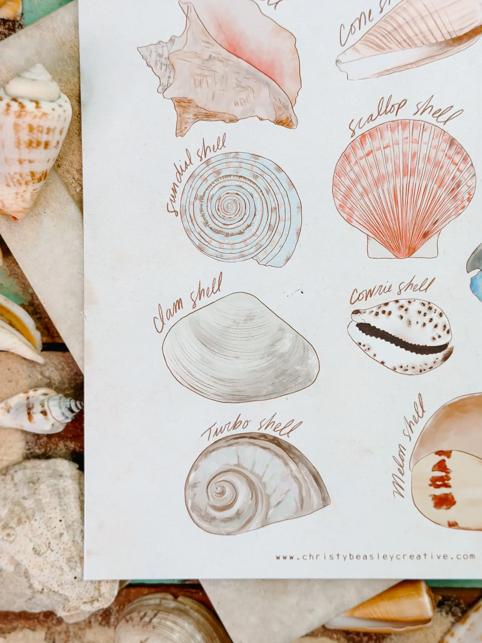 Shell Poster