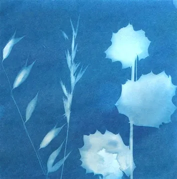 Sunprint Solar Art Kit for Nature Kids