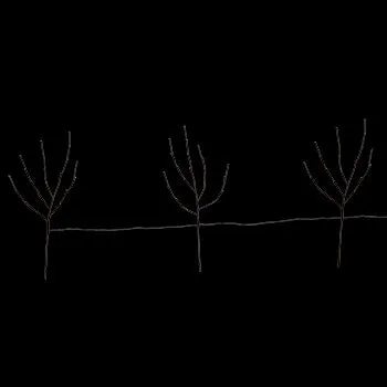 Warm White Lighted Branch Set - Plug In