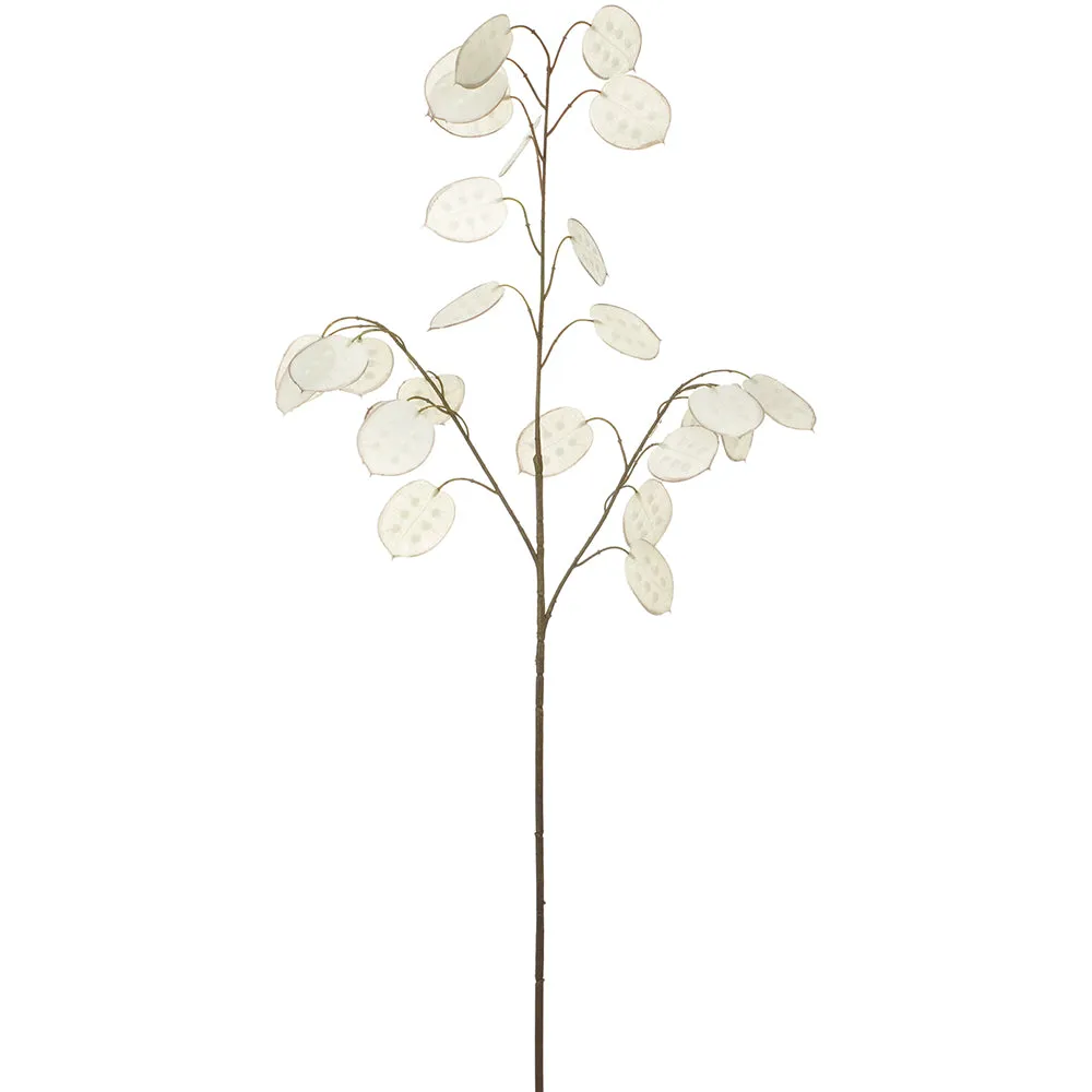 White Sillver Dollar Spray